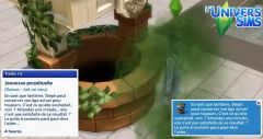 Sims 4 Kit objets jardin romantique puits 08