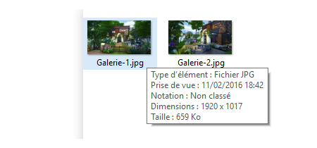 Sims 4 tray importer changer les images des creations sur la Galerie Sims 4