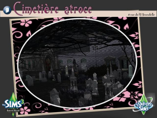 med_gallery_2_93_24097.jpg