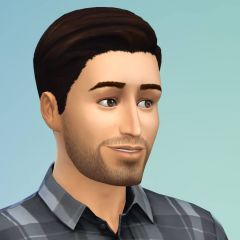 Les Sims 4