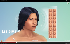 Les Sims 4  (100)