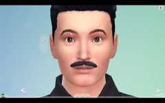 Les_Sims_4_ (77).png