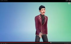 Les Sims 4  (29)