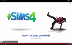 Les Sims 4  (124)
