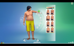 Les Sims 4  (96)