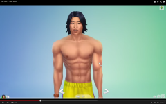 Les Sims 4  (98)