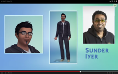 Les Sims 4  (34)