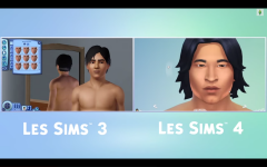 Les Sims 4  (101)