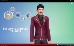 Les Sims 4  (21)