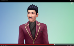 Les Sims 4  (27)
