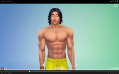 Les Sims 4  (99)