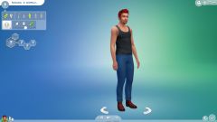 Sims4 Demo CAS 100