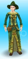 Costume de sorcière (adulte)