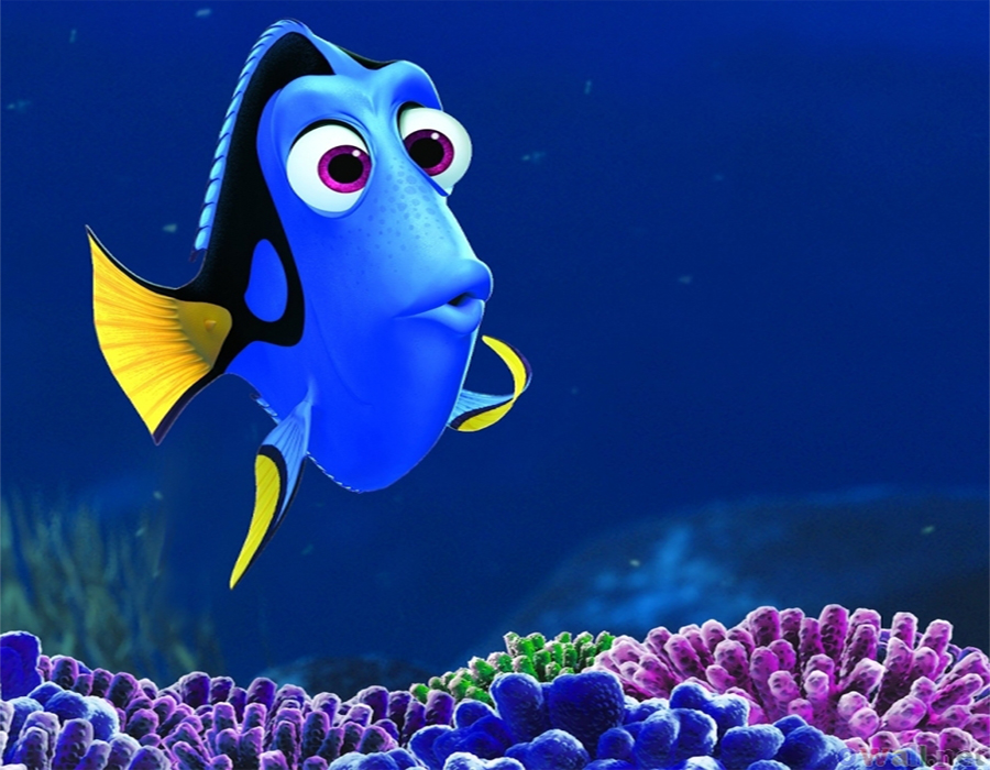 Le_Monde_De_Dordy_teaser_Pixar.jpg
