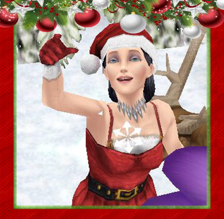 Avatar noël fixe.png