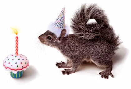 birthday.jpg