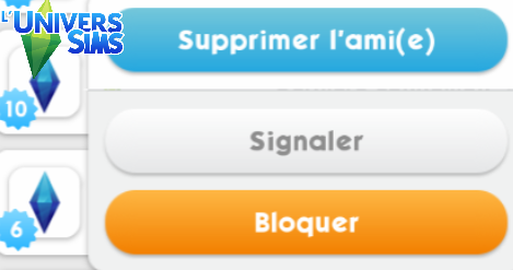 supprimer_amis.png