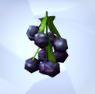 26.png.c3006113c0ef5526648f8304c8236f43.png