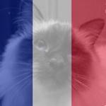 Félin Pour L'autre
