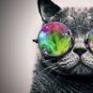 Cachou