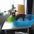 Buffynette Monchien