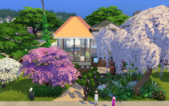 Le restaurant Colline et Montagne