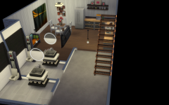 Le magasin GeekSims