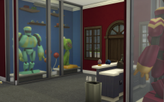 Le magasin GeekSims