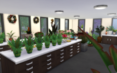 Le petit fleuriste