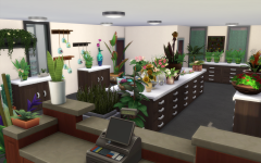 Le petit fleuriste