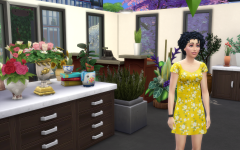 Le petit fleuriste