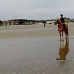 Coline