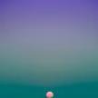 eve016