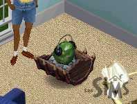 Colocs_3_0003.jpg