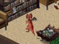 Colocs_3_0007.jpg