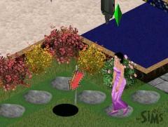 MagicSims_7_0008.jpg