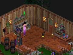 MagicSims_7_0009.jpg