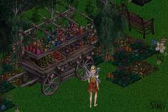 MagicSims_7_0024.jpg