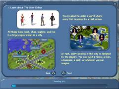 Sims Online