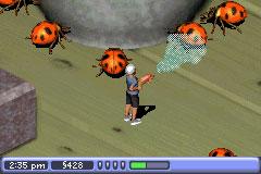 s2GBA_beetles.jpg