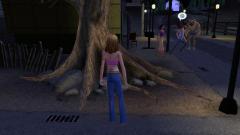 s2PSP_Deadtree_Admire_tree2.JPG