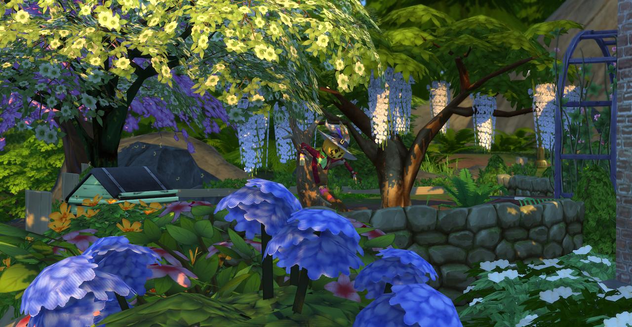 Lever de soleil sur le printemps