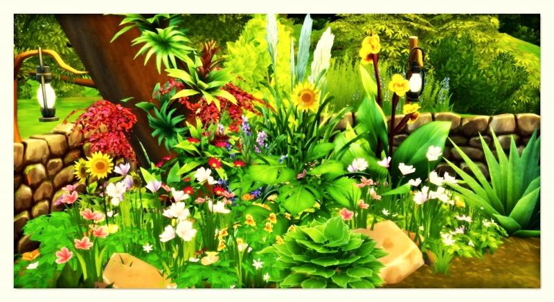 Plus d’informations sur «&nbsp;Floraison&nbsp;»