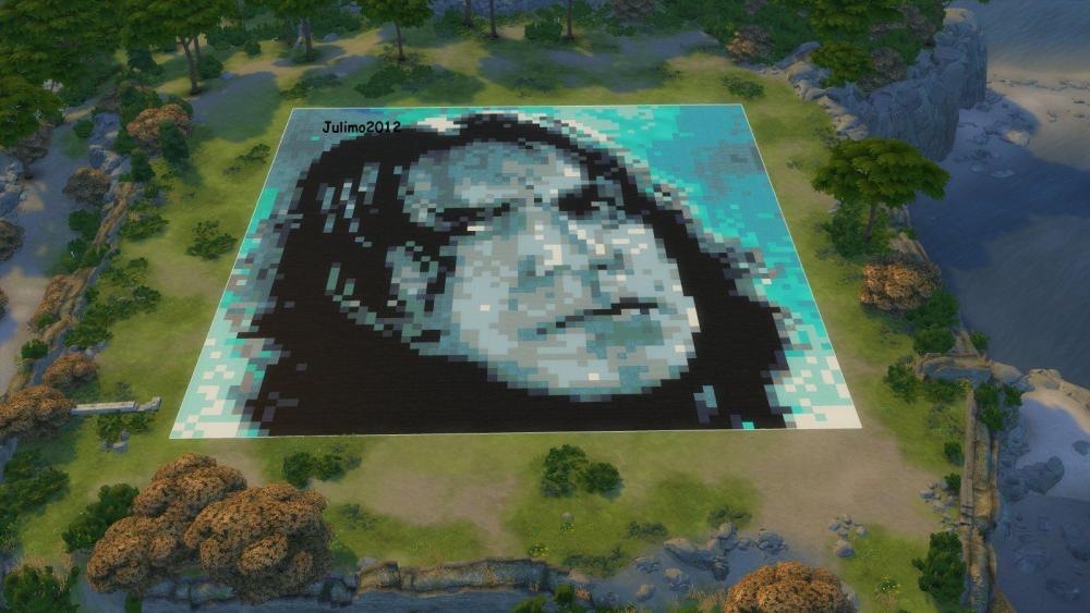 80.jpg