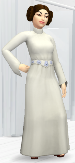 leia_organa_costume.PNG