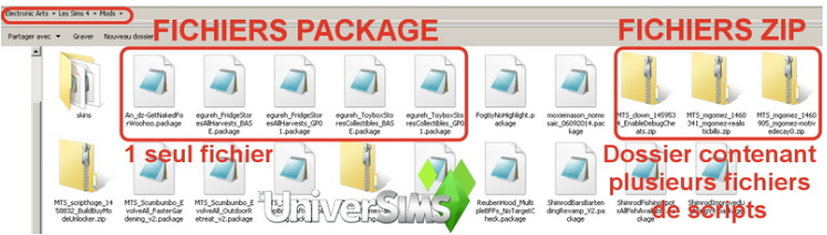 Fichiers Sims 4 (2)
