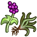 Herbs.png.b8af5f0cd4b69a6dbb2ebfc9b0ff0af4.png