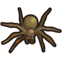 SpiderTarantula.png.39008b3e923dcee9d2d9fb1e2acdbbde.png