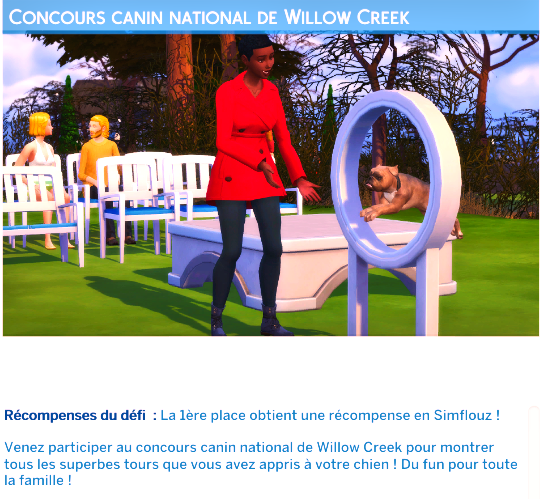 mods concours canin sims 4