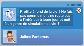conseil.PNG